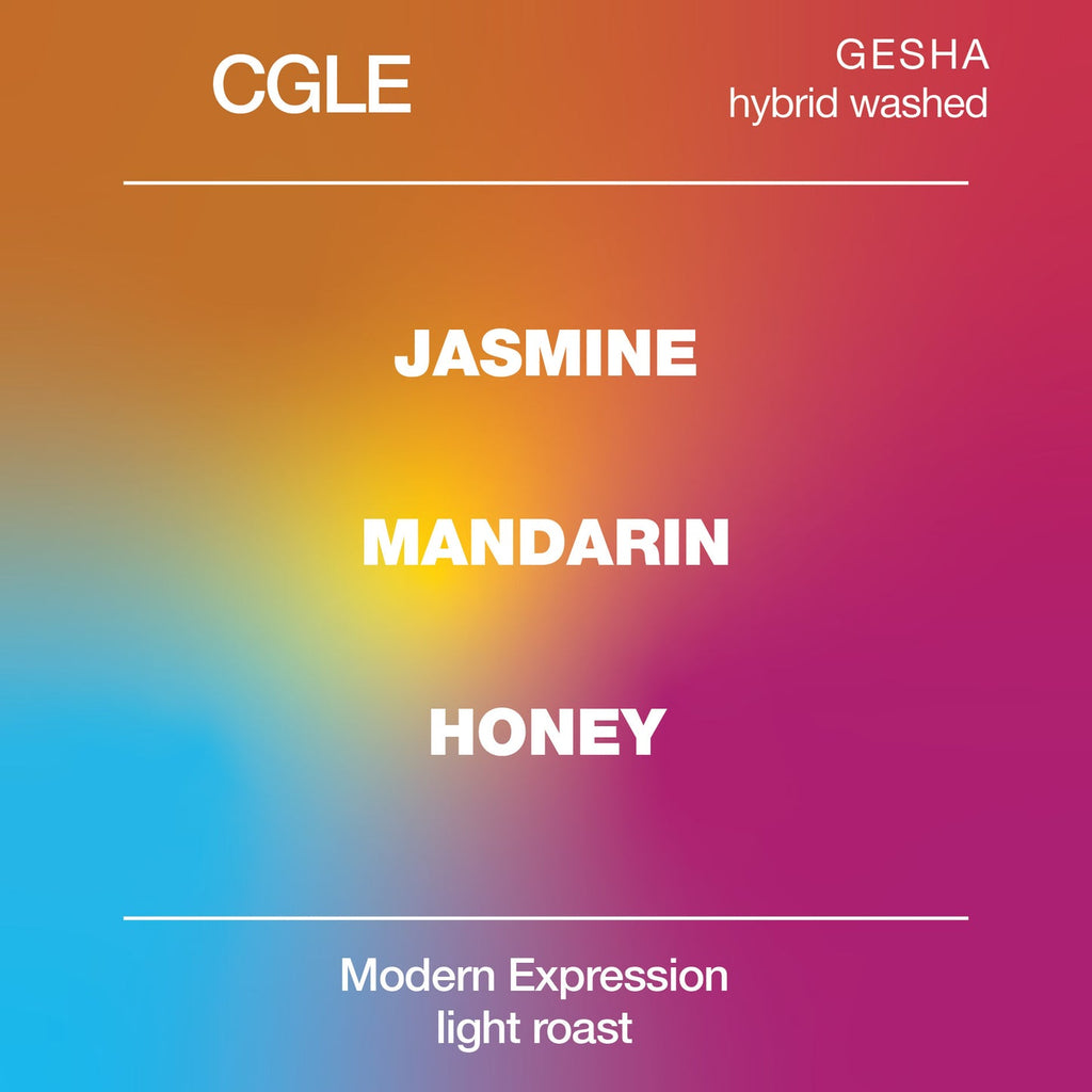 CGLE GESHA Hybrid Washed