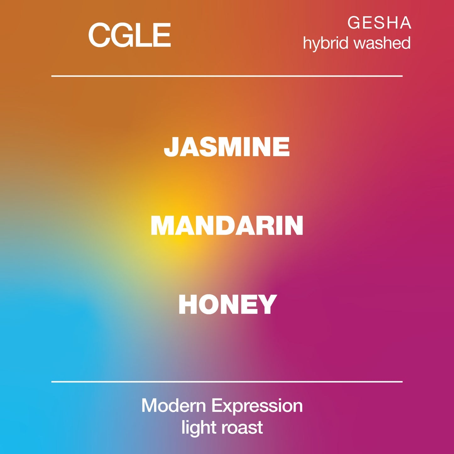 CGLE GESHA Hybrid Washed