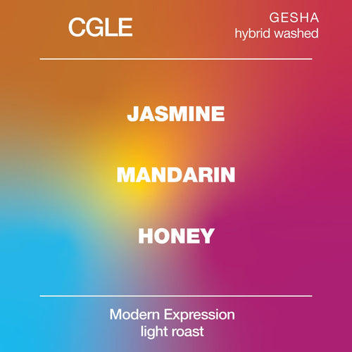 CGLE GESHA Hybrid Washed