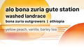 Alo Bona Zuria Gute Station Washed Landrance - Moonwake Coffee Roasters