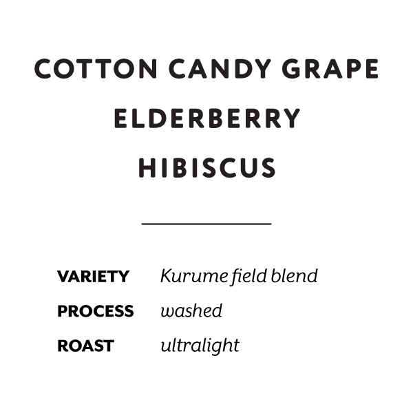 Chelbesa (UL) 125gr - H&S Coffee Roasters