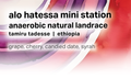 Alo Hatessa Mini Station - Moonwake Coffee Roasters