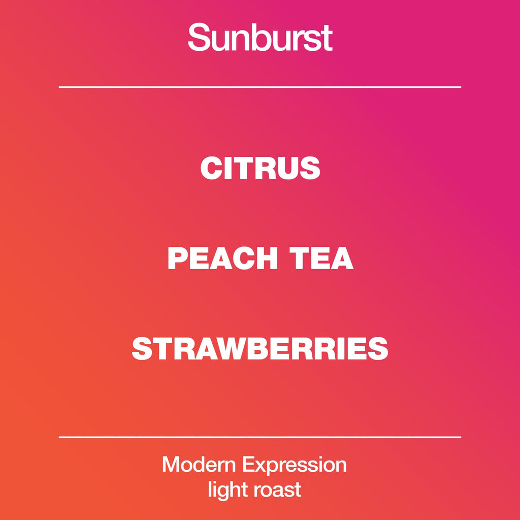Sunburst - Mod Cup Coffee