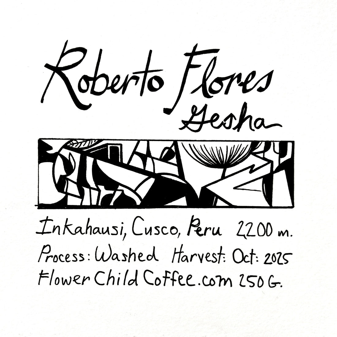 Roberto Flores - Gesha - FLOWER CHILD COFFEE