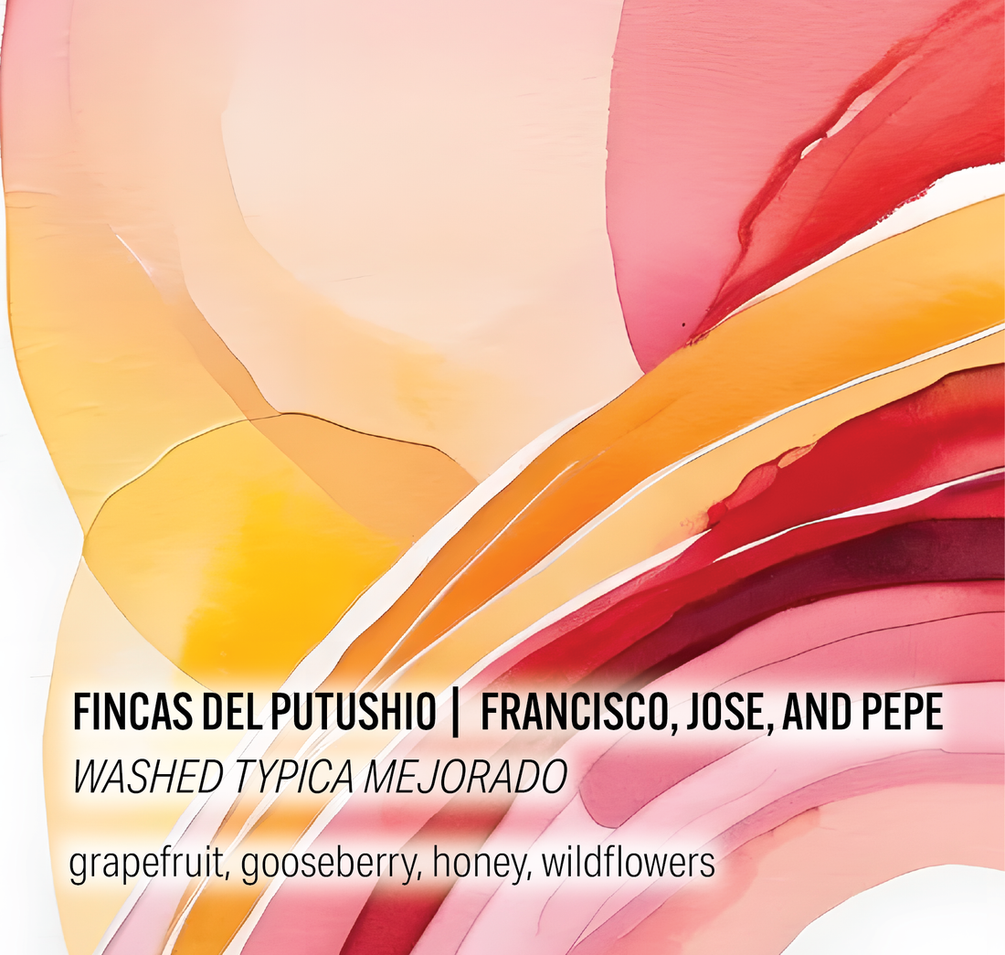Fincas del Putushio - Moonwake Coffee Roasters
