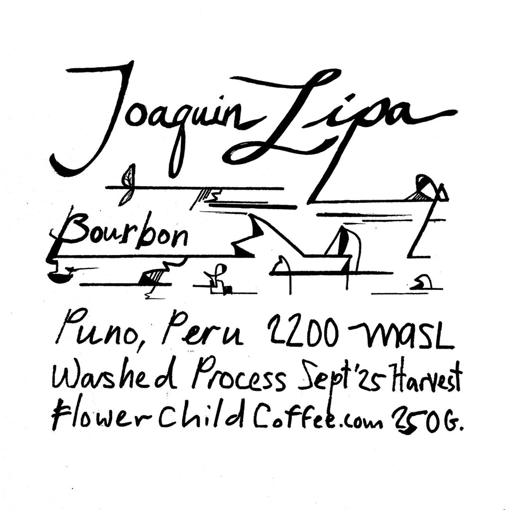 Joaquín Lipa - Bourbon - FLOWER CHILD COFFEE