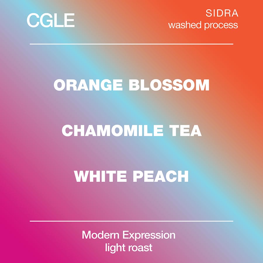 CGLE Sidra Washed - Mod Cup Coffee