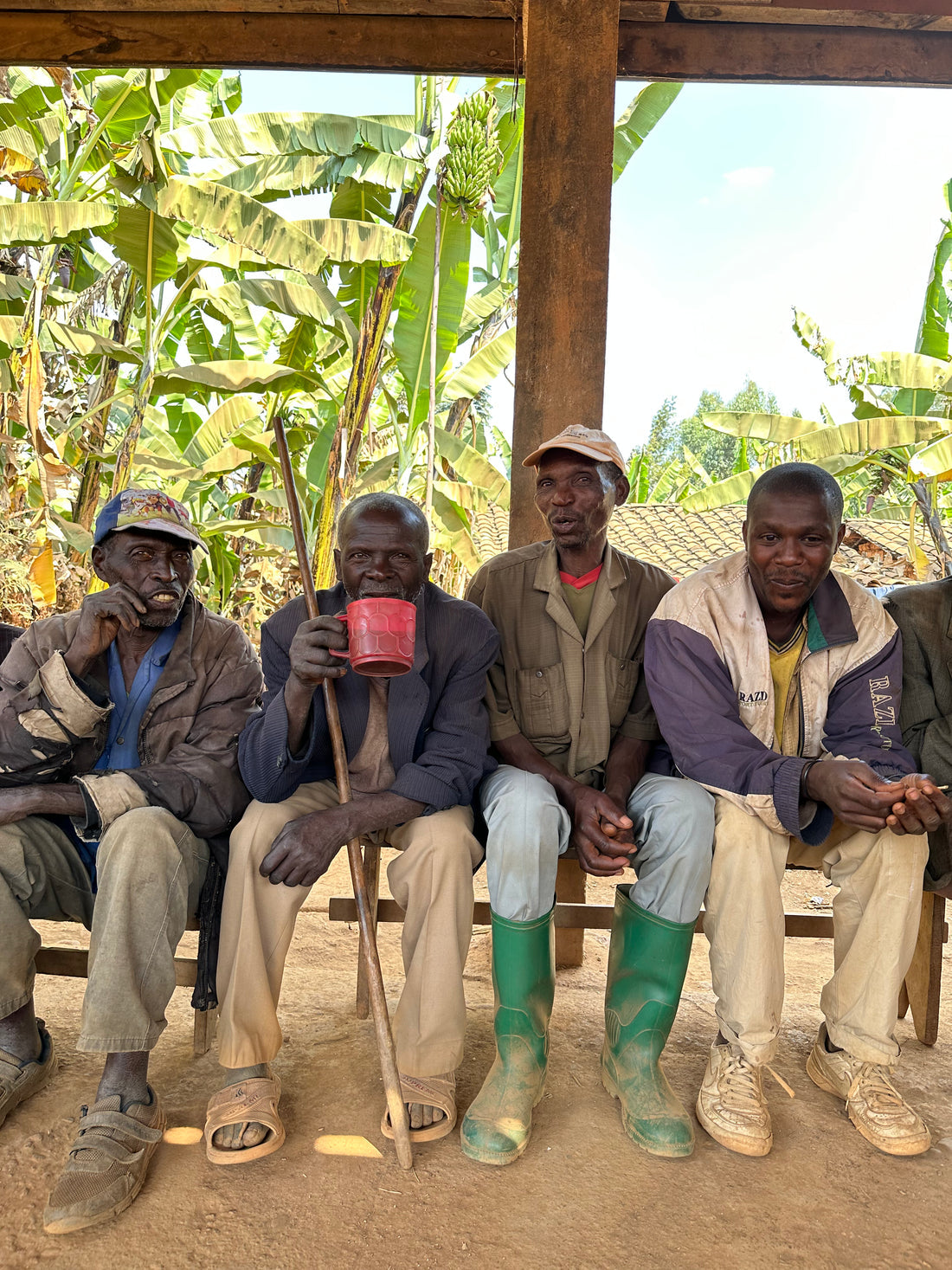 Busambo - Red Bourbon - FLOWER CHILD COFFEE