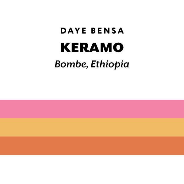 Keramo (UL) - H&S Coffee Roasters