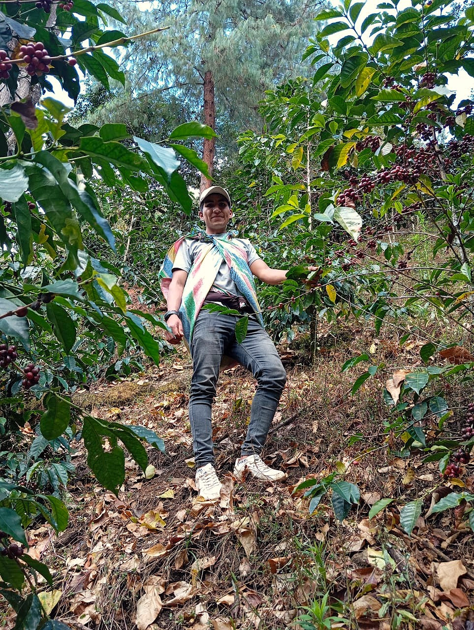 Roberto Flores - Gesha - FLOWER CHILD COFFEE