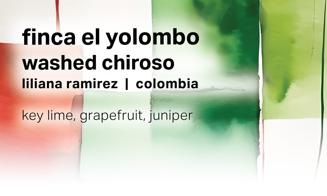 Liliana Ramirez Finca El Yolombo - Moonwake Coffee Roasters