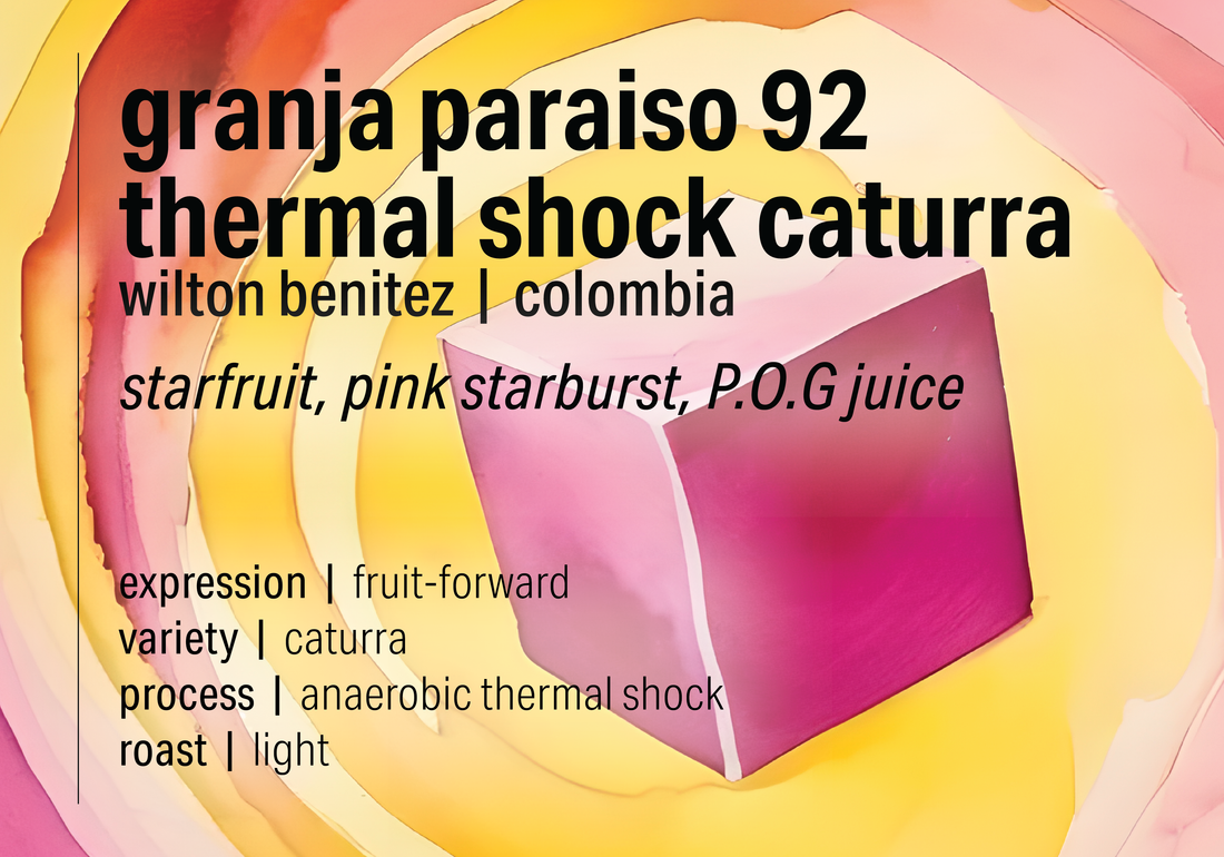 Granja Paraíso 92 Choque Térmico Caturra - Moonwake Coffee Roasters