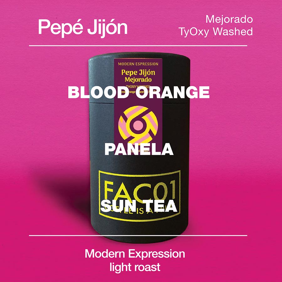 Finca Soledad Mejorado TyOxy Washed - Mod Cup